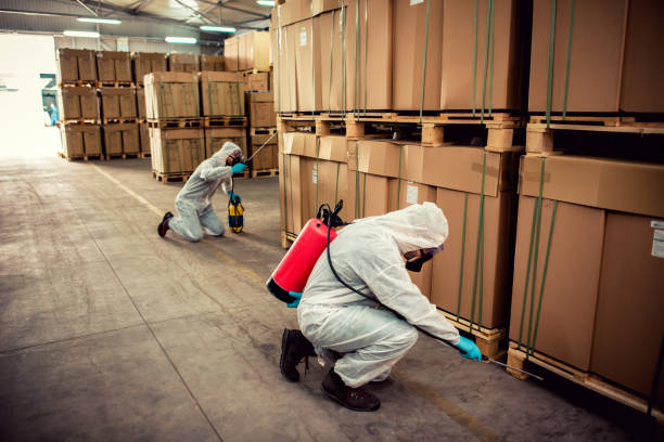 Best Residential Pest Control  in Baxter Estates, NY