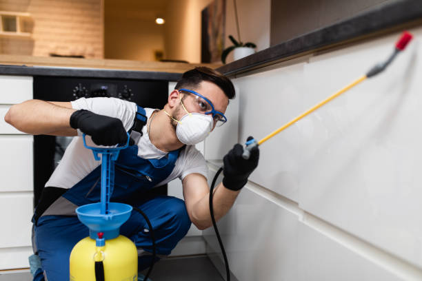 Trusted Baxter Estates, NY Pest Control Experts