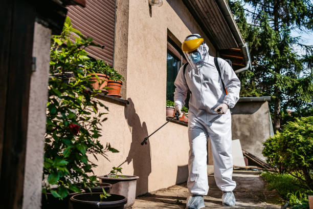Best Wasp Removal Services  in Baxter Estates, NY
