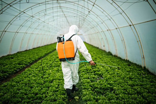 Best Pest Control Near Me  in Baxter Estates, NY