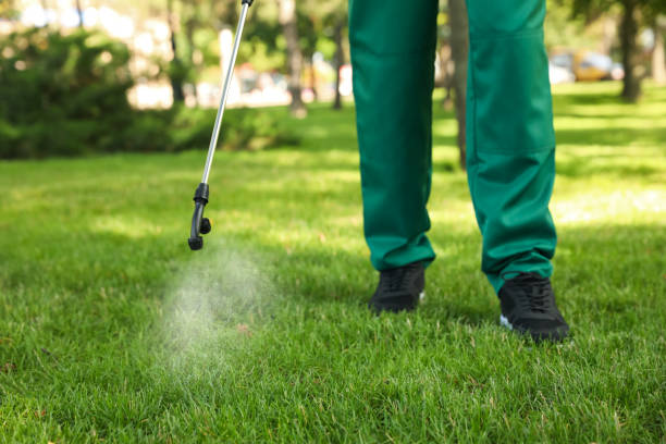 Pest Control Cost in Baxter Estates, NY