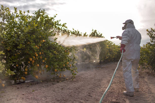 Best Pest Prevention Services  in Baxter Estates, NY