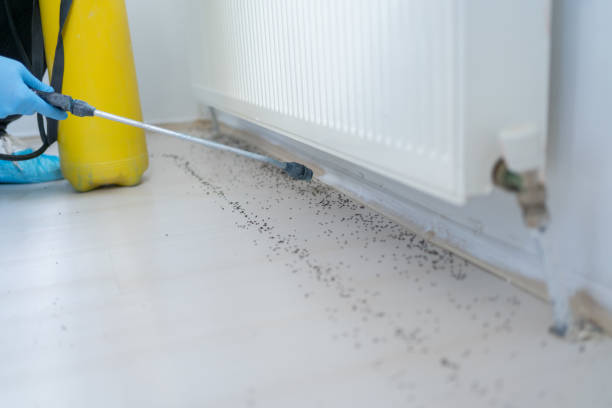 Pest Prevention Services in Baxter Estates, NY